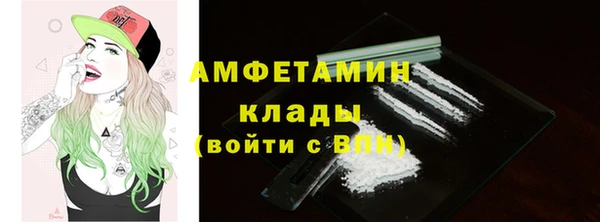 индика Иннополис