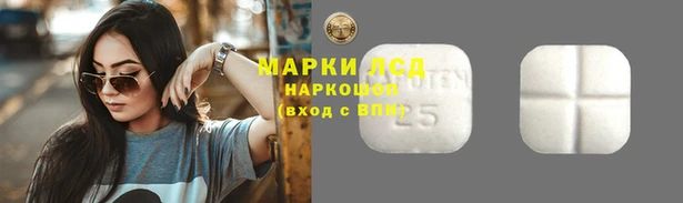 мяу мяу мука Михайлов
