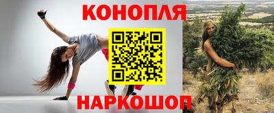 индика Аргун