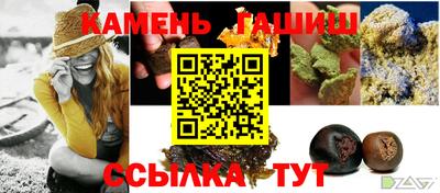 индика Аргун