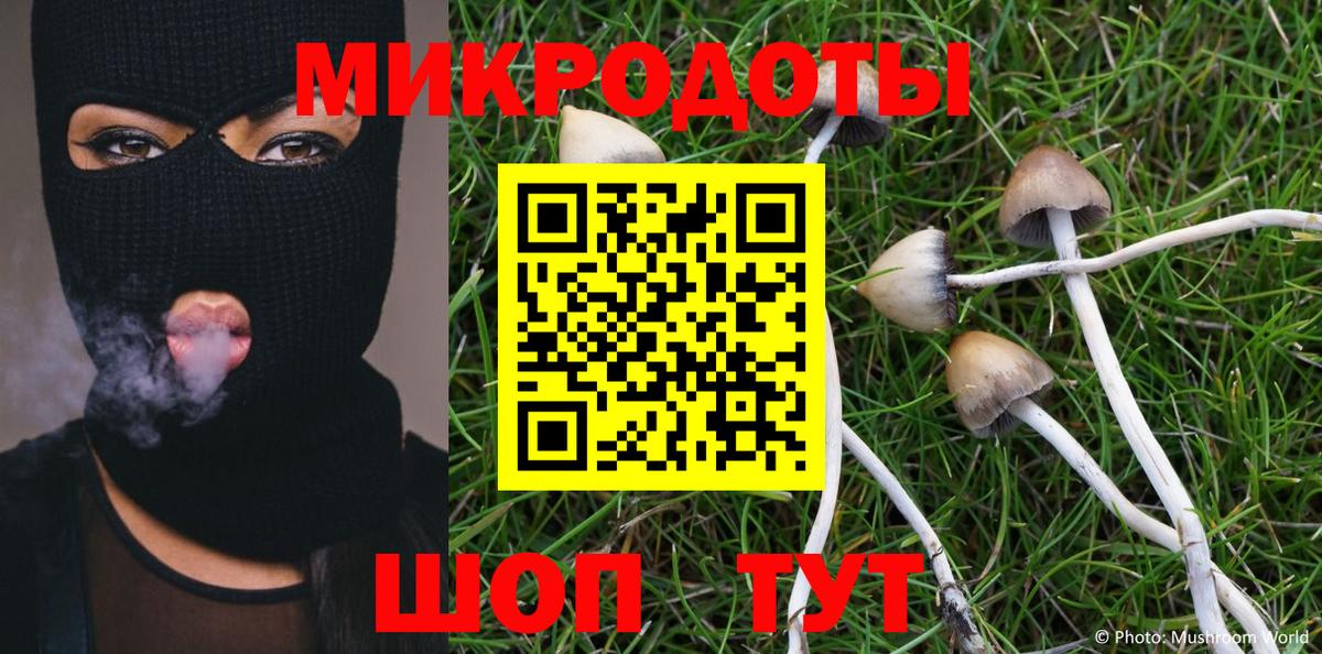 Галлюциногенные грибы MAGIC MUSHROOMS  сколько стоит  Крымск 